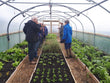 Load image into Gallery viewer, Gardening Course (Sunday 19th July) SOLD OUT
