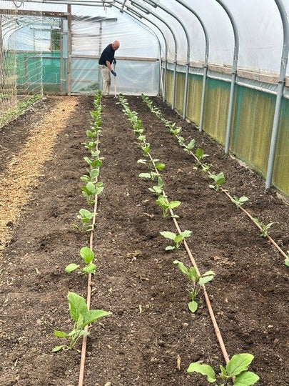 Soil Association Inspection