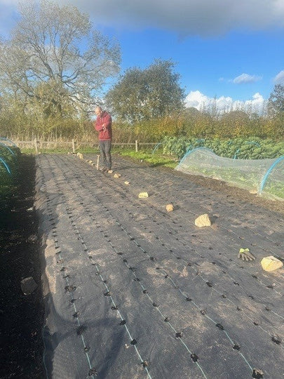 Next year's Garlic has been planted