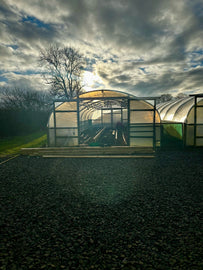 Re-Vamping the Polytunnels