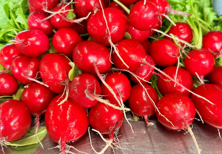 Harvesting Bountiful Beds of Vegetables