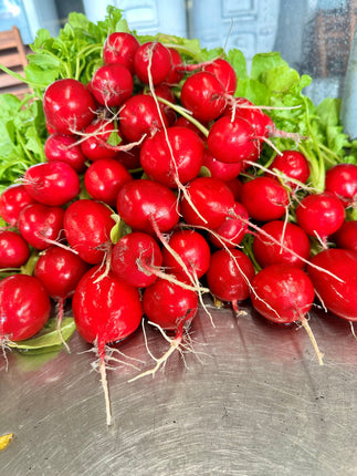 Harvesting Bountiful Beds of Vegetables