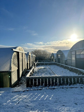 Preparation against the freezing temperatures
