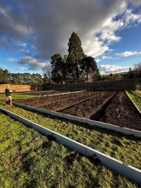 Spring Planting, the Greenhouse, & a Special Walk