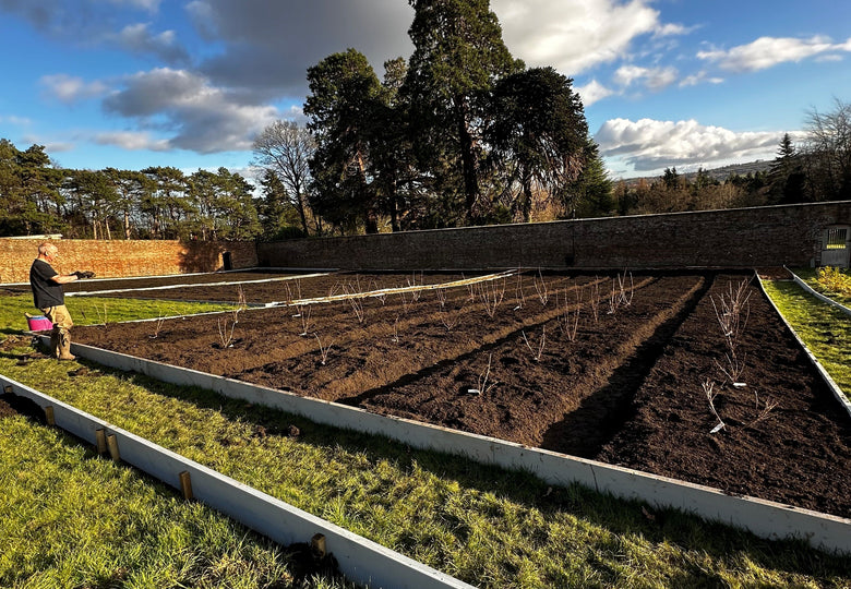 Spring Planting, the Greenhouse, & a Special Walk