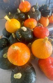 Autumn Harvesting