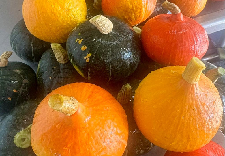 Autumn Harvesting