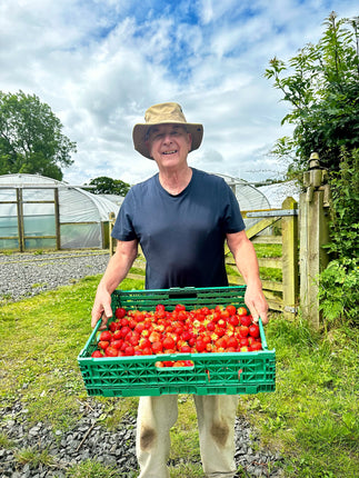 Strawberry season has arrived