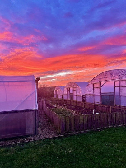 Season of Sunrises and Sunsets
