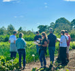 Load image into Gallery viewer, Gardening Course (Sunday 19th July) SOLD OUT
